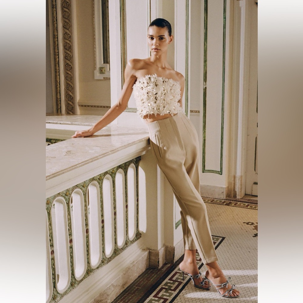 Zara pants with a high waist size small in tan brand new